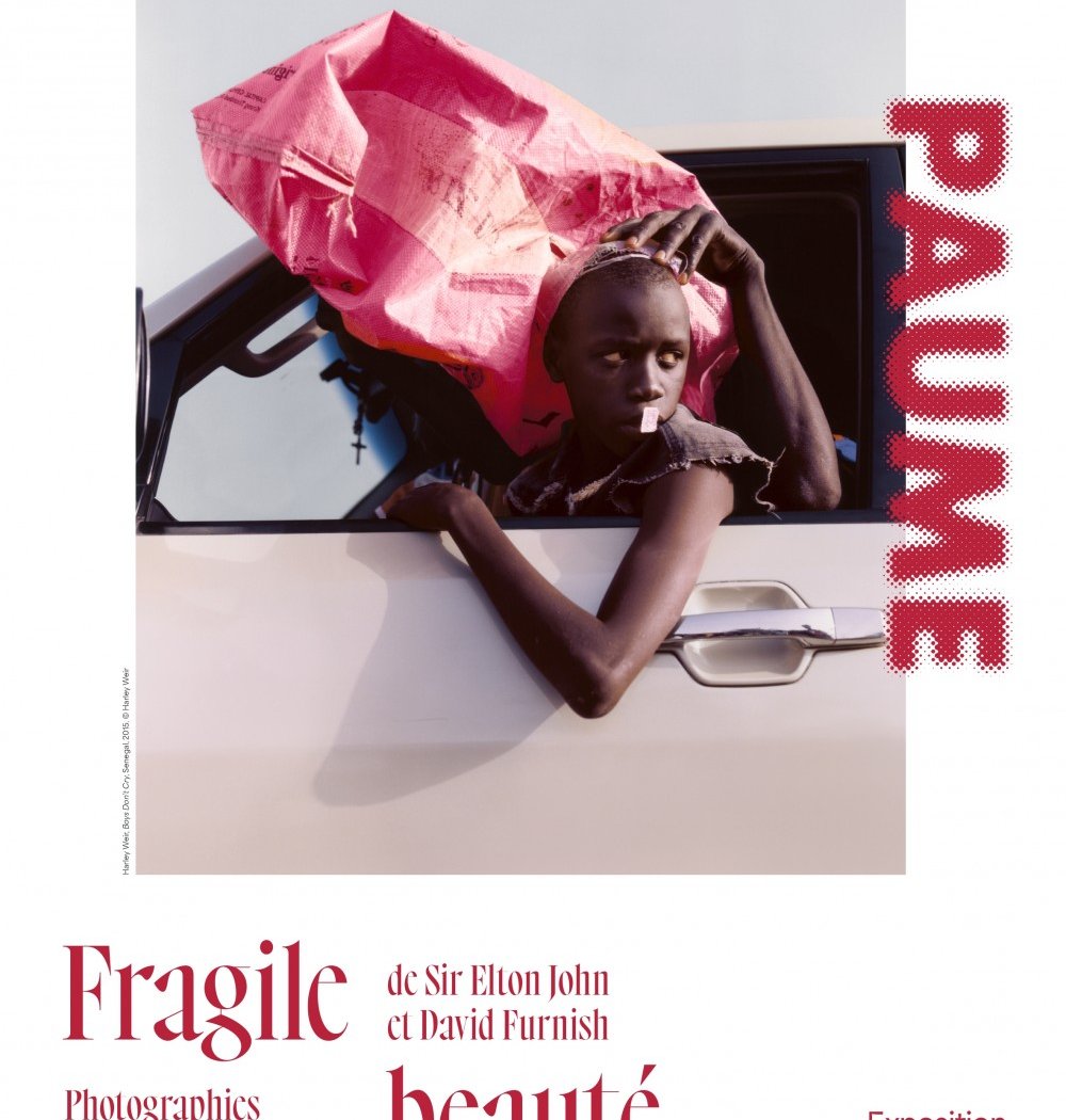Fragile beauté 1